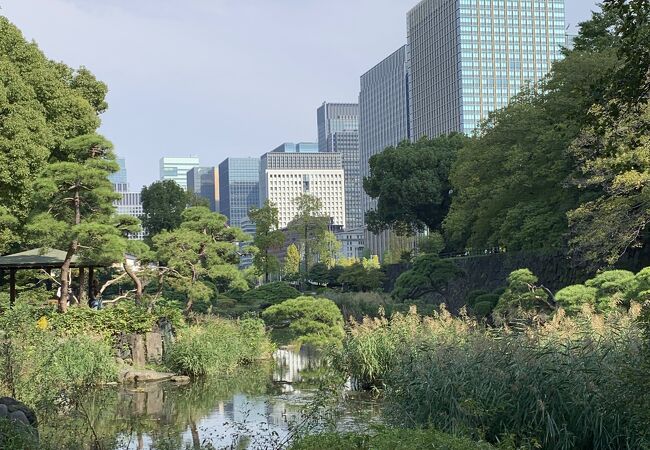 日比谷公園　心字池