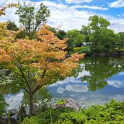 きれいな日本庭園