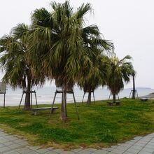 福間漁港海浜公園