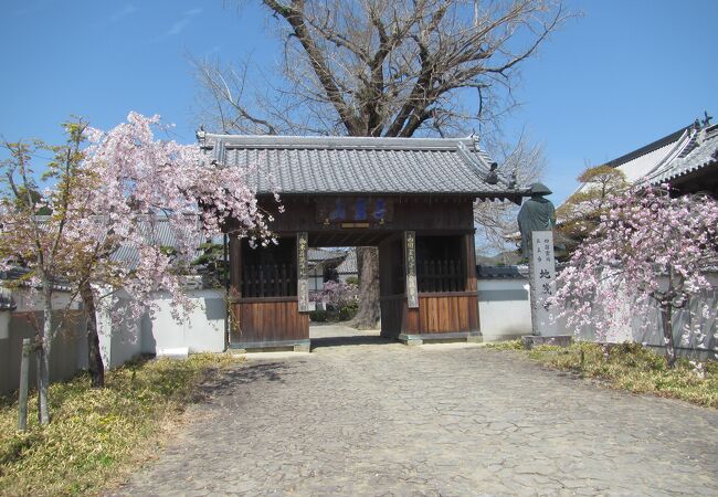 地蔵寺(徳島県板野町)