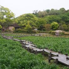 宮地嶽神社民家村