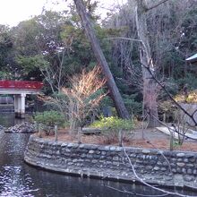 氷川神社