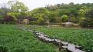 宮地嶽神社民家村