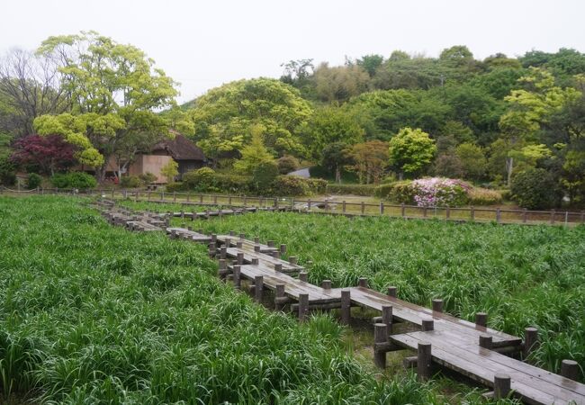 神社には神苑があったりしますが