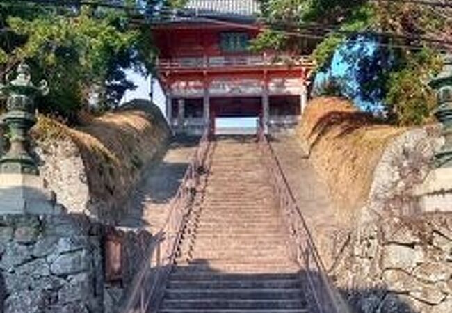 人間の1.5～2倍の仏様がズラリ