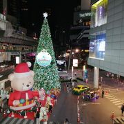 クリスマスの飾り付け