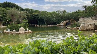 冬はオススメ！！水着で泳げて楽しかった☆