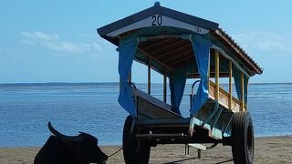 水牛車で行く由布島