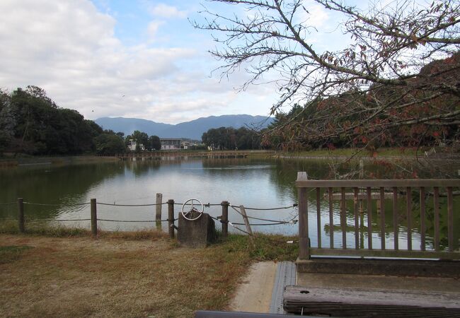 橿原神宮の池