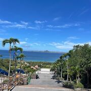 美ら海水族館もある大きな公園