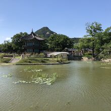 自然と調和した美しい景観、中央の小島に香遠亭