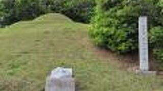 古墳の中に亀と虎の絵が見えたから・・・