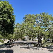 世界遺産の町コロニア・デル・サクラメントの中心広場なのにけっこう地味です