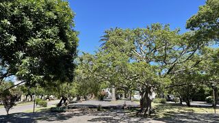 世界遺産の町コロニア・デル・サクラメントの中心広場なのにけっこう地味です