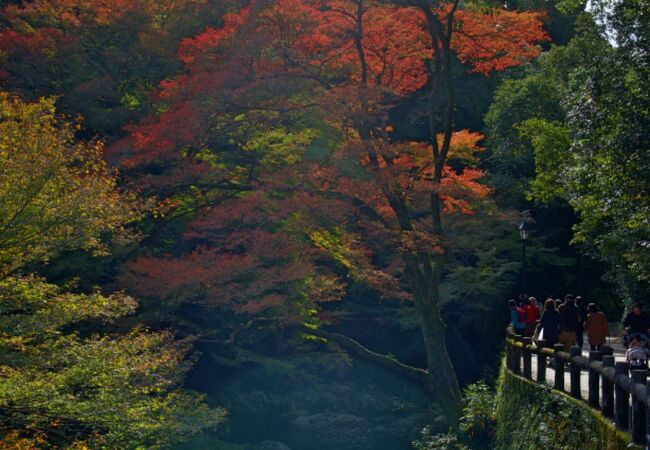 箕面公園