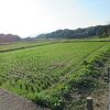 飛鳥宮跡(伝飛鳥板蓋宮跡)