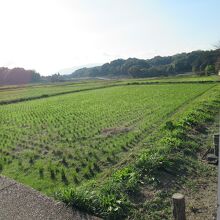 飛鳥宮跡(伝飛鳥板蓋宮跡)