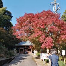 普門寺