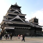 天守閣は完全復旧しましたがまだまだ各所に熊本地震の爪痕が残っています。