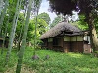 蘆花恒春園