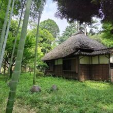 蘆花恒春園