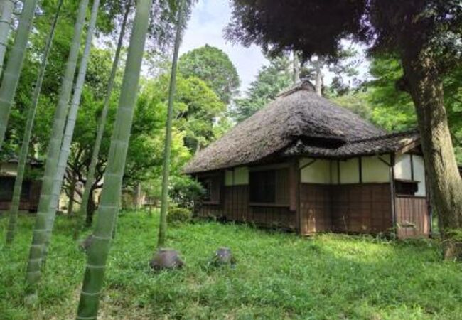 蘆花恒春園