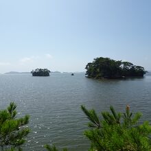 松島湾を見渡せます