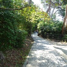 遊歩道があり、歩きやすいです