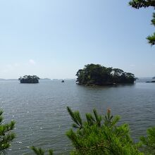 松島湾の景色も楽しめます