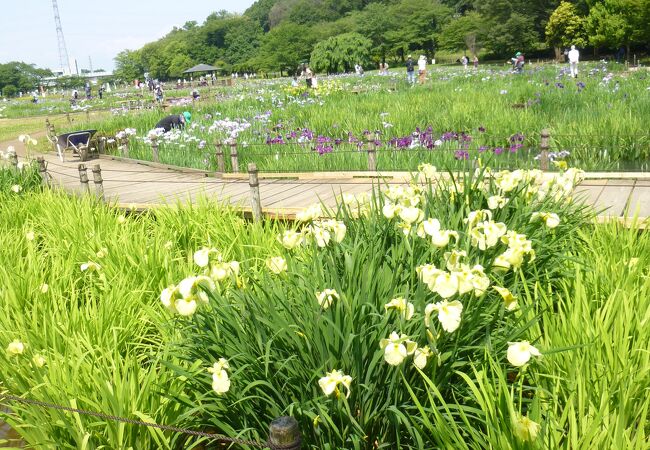 北山公園