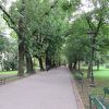 緑豊かな公園の中には、舗装された遊歩道が整備されており、ジョギングをする市民ランナーや、散策を楽しむお年寄りを見かけました。