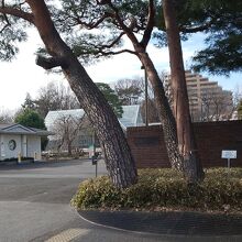 東京都薬用植物園