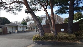 東京都薬用植物園