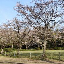 羽黒山公園の風景