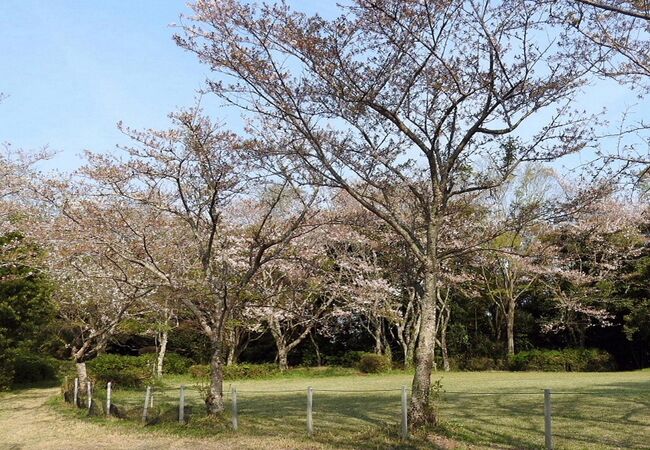麻生城跡に整備された公園です。