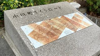 小川町さくらロード