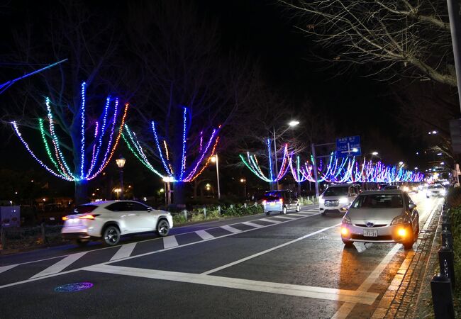 横浜山下公園通り