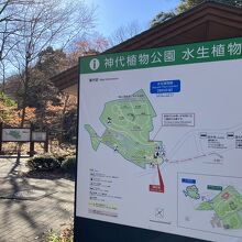 水生植物園 深大寺城跡