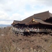 人は多いですが、周れます。