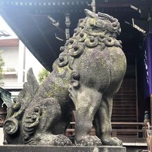 《鉄砲洲稲荷神社》社殿付近…狛犬(左側)