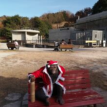 岡崎市東公園小動物園