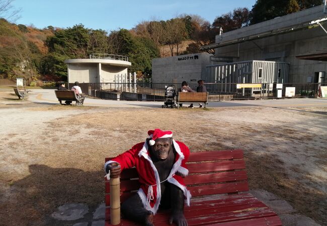 岡崎市東公園小動物園