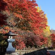 思った以上の山の中、思った以上の紅葉でした