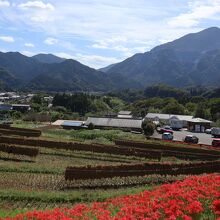 寺坂棚田