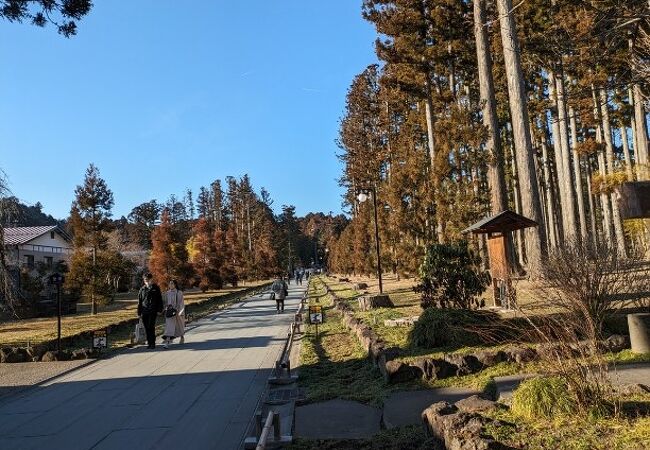 東北を代表する寺院