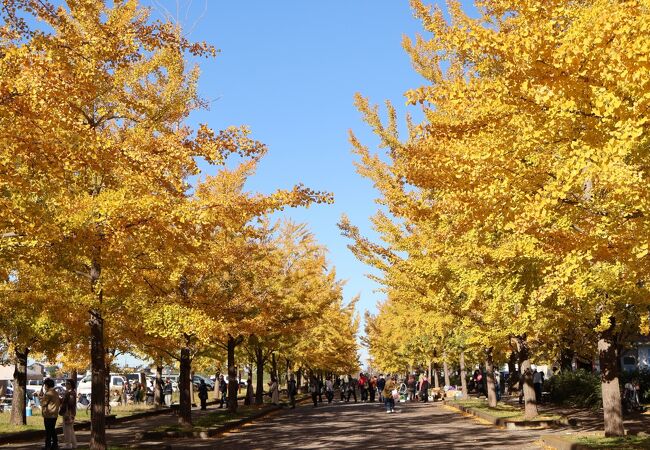 加須はなさき公園