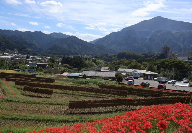 寺坂棚田