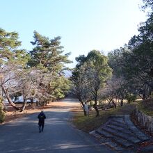 宝が池公園