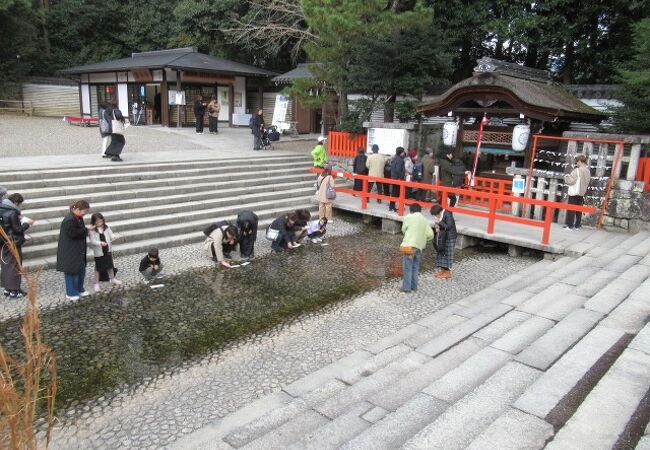 「水みくじ」が有名ですよ