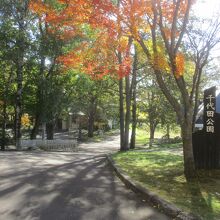 千代田公園